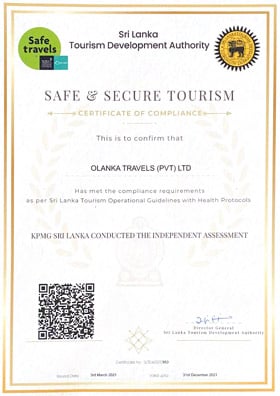 Safe Travel Certification Image