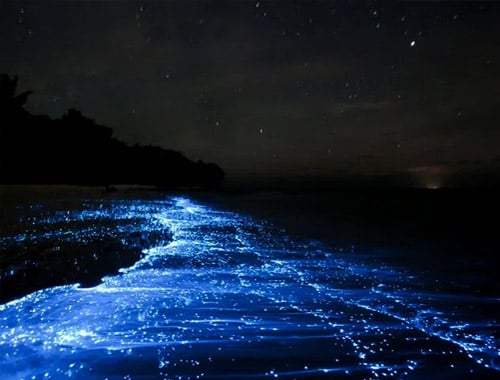 Maldives Tour Package Visit Glowing Beach