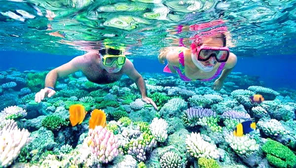 Shrookling under Maldives sea on your Maldives Honeymoon by Olanka Travels